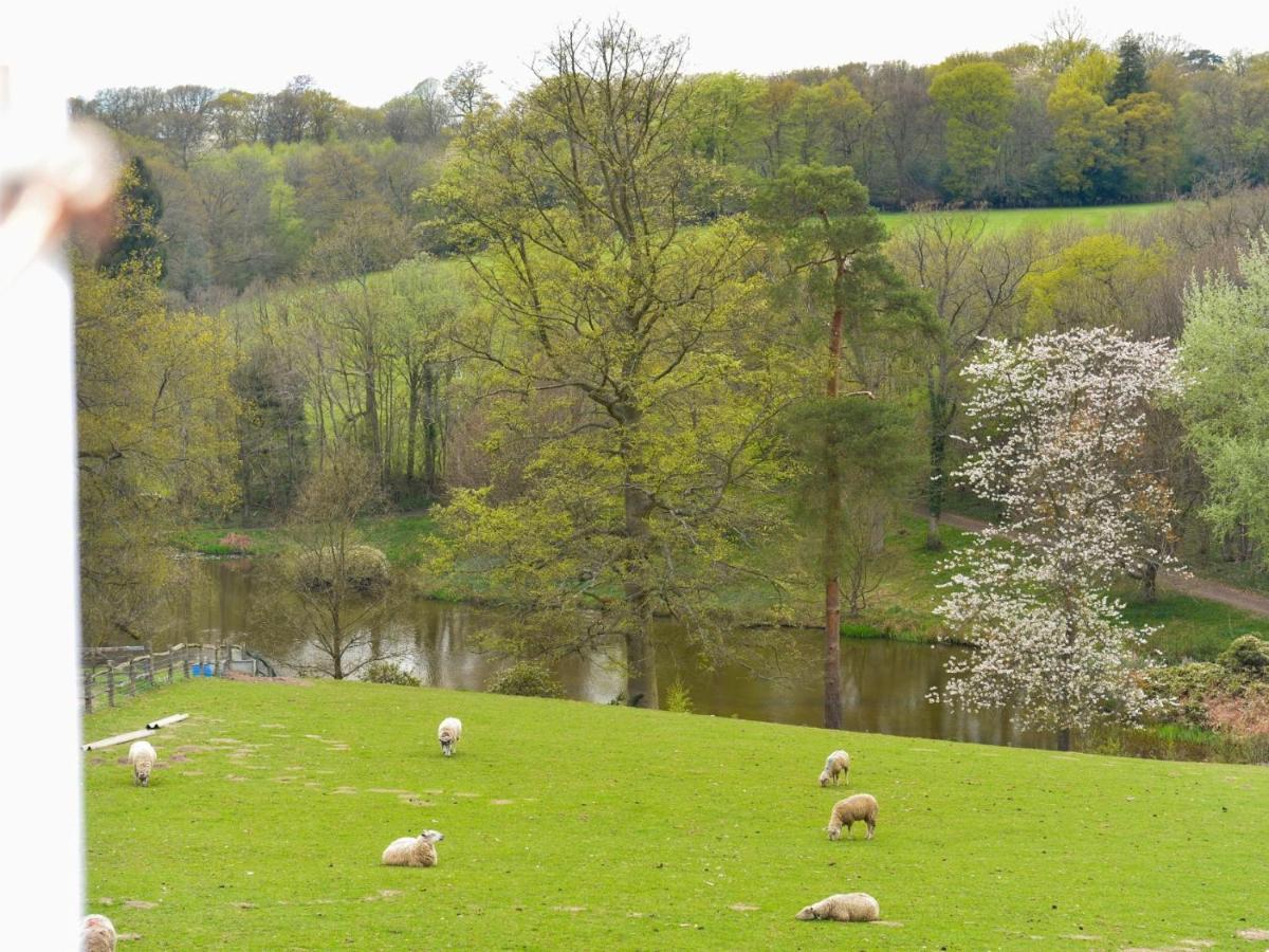 Twyford Farm B&B Haywards Heath Ngoại thất bức ảnh